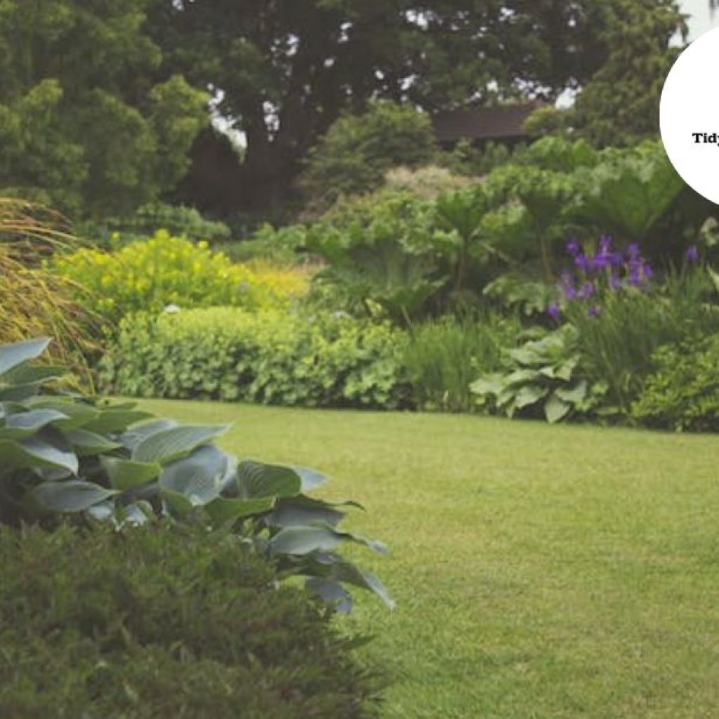 Transform Your Outdoor Space: Bristol Garden Makeover Ideas