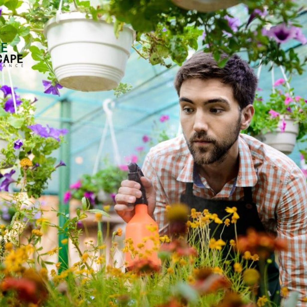 Accessible Gardening Solutions for NDIS Participants Accessible Gardening Solutions for NDIS Participants
