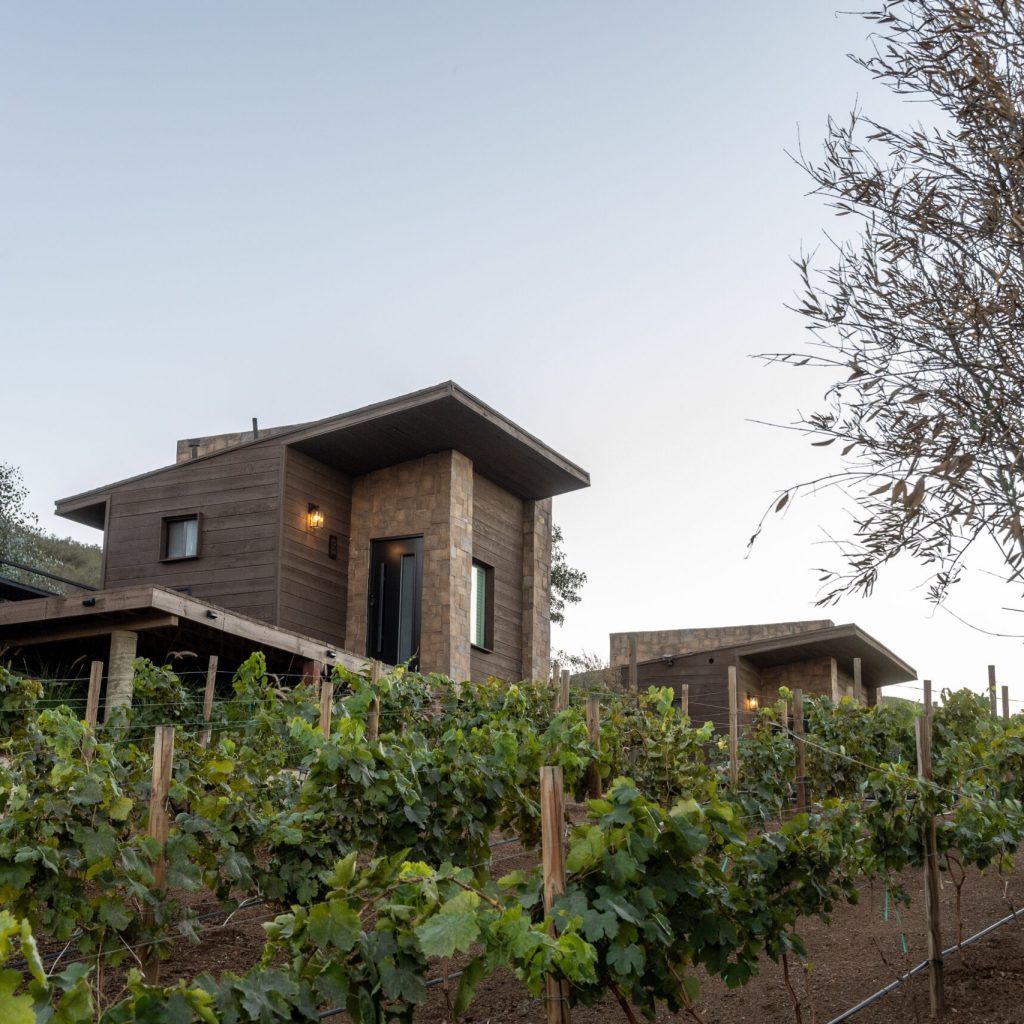 Luxurious Escapes in Mexico’s Wine Valley: Discover Premium Retreats