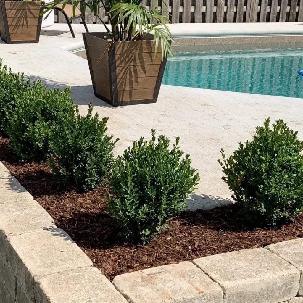 Cambridge Deck Fitters: Expert Installation & Finishes