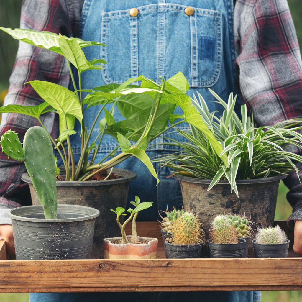 Discover an online marketplace for small farms you can trust