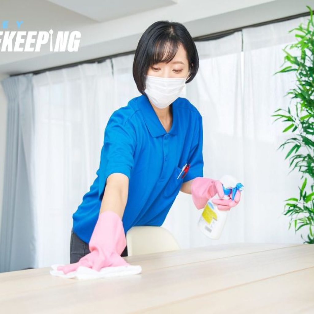 Elite Home Cleaning and Upkeep for Peace of Mind Elite Home Cleaning and Upkeep for Peace of Mind