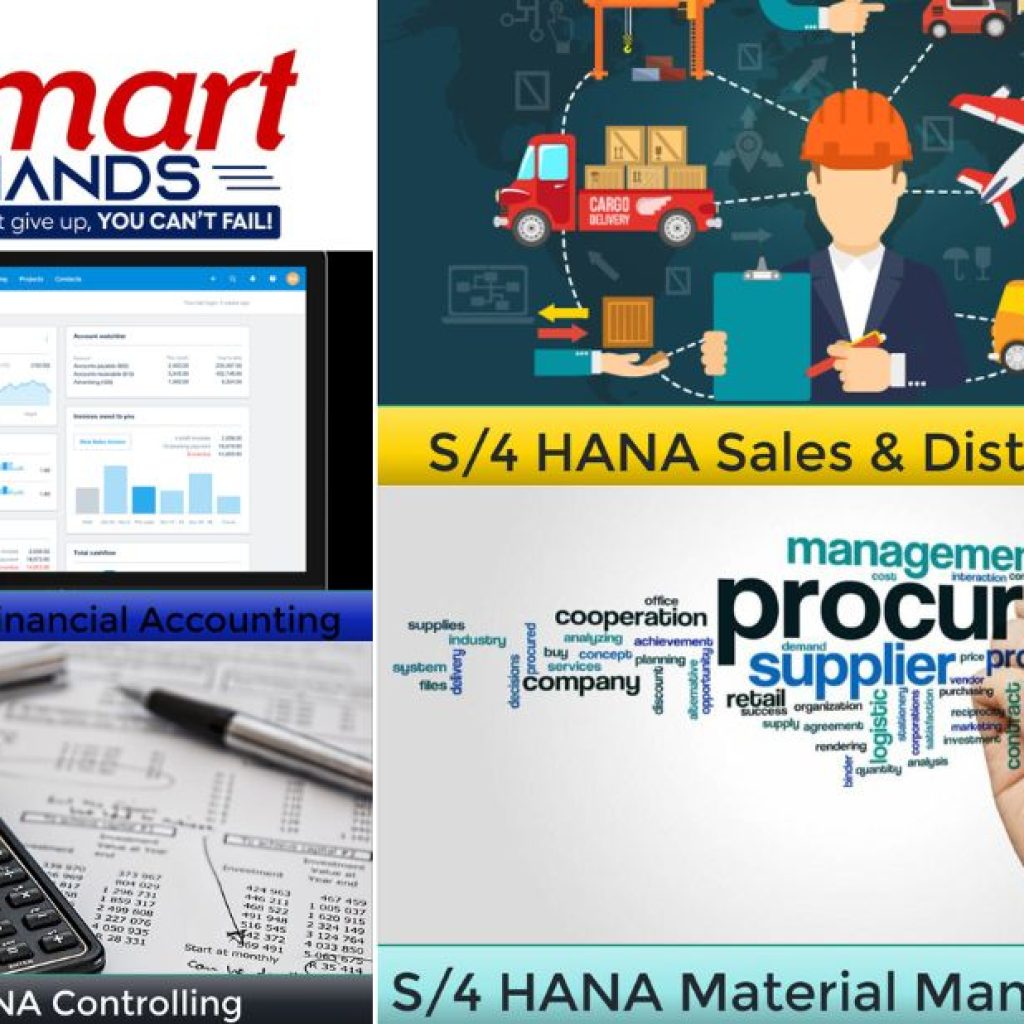 Sap Fico Training | Thesmarthands.com
