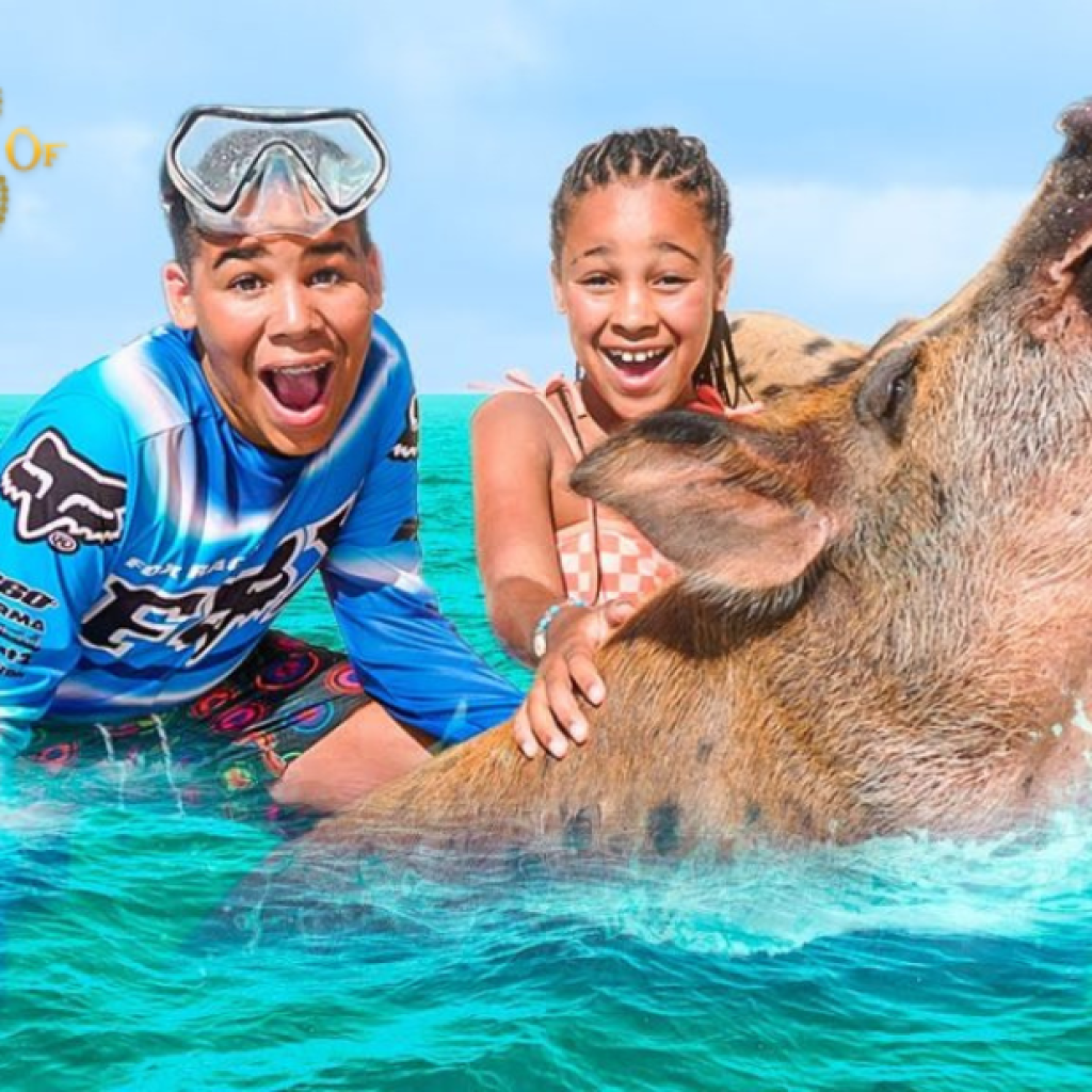 Explore Stunning Bahamas Waterways by Boat – Unforgettable Island Adventures