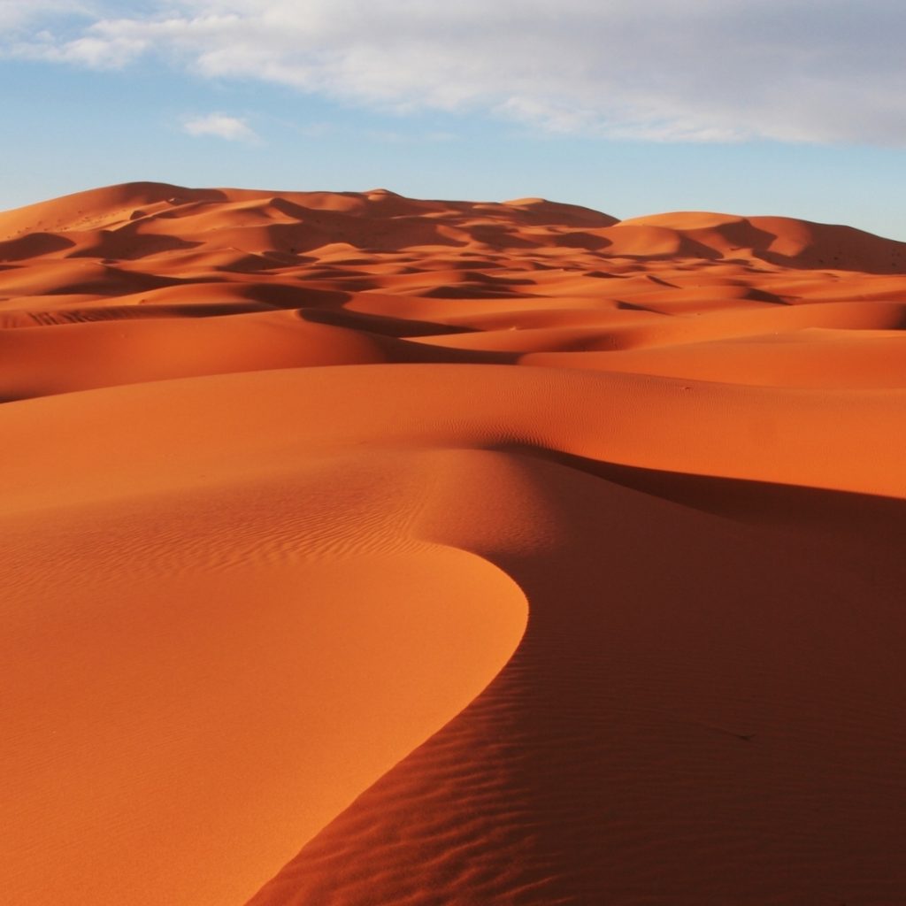 Dawn Quad Bike Adventure: Desert Sunrise Ride in Style