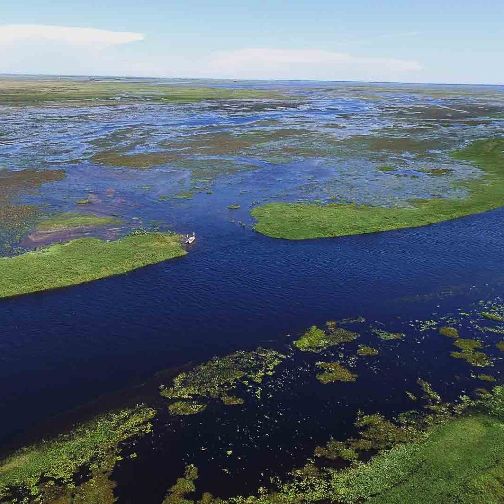 Top Permit Lodges in Mexico for Outstanding Fly-Fishing Getaways