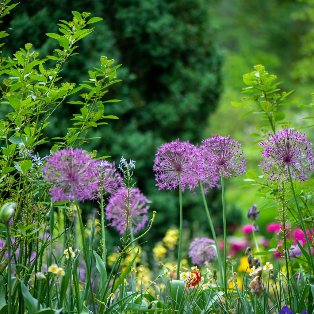 Expert Garden Care in Bristol: Reliable Lawn Maintenance Expert Garden Care in Bristol: Reliable Lawn Maintenance