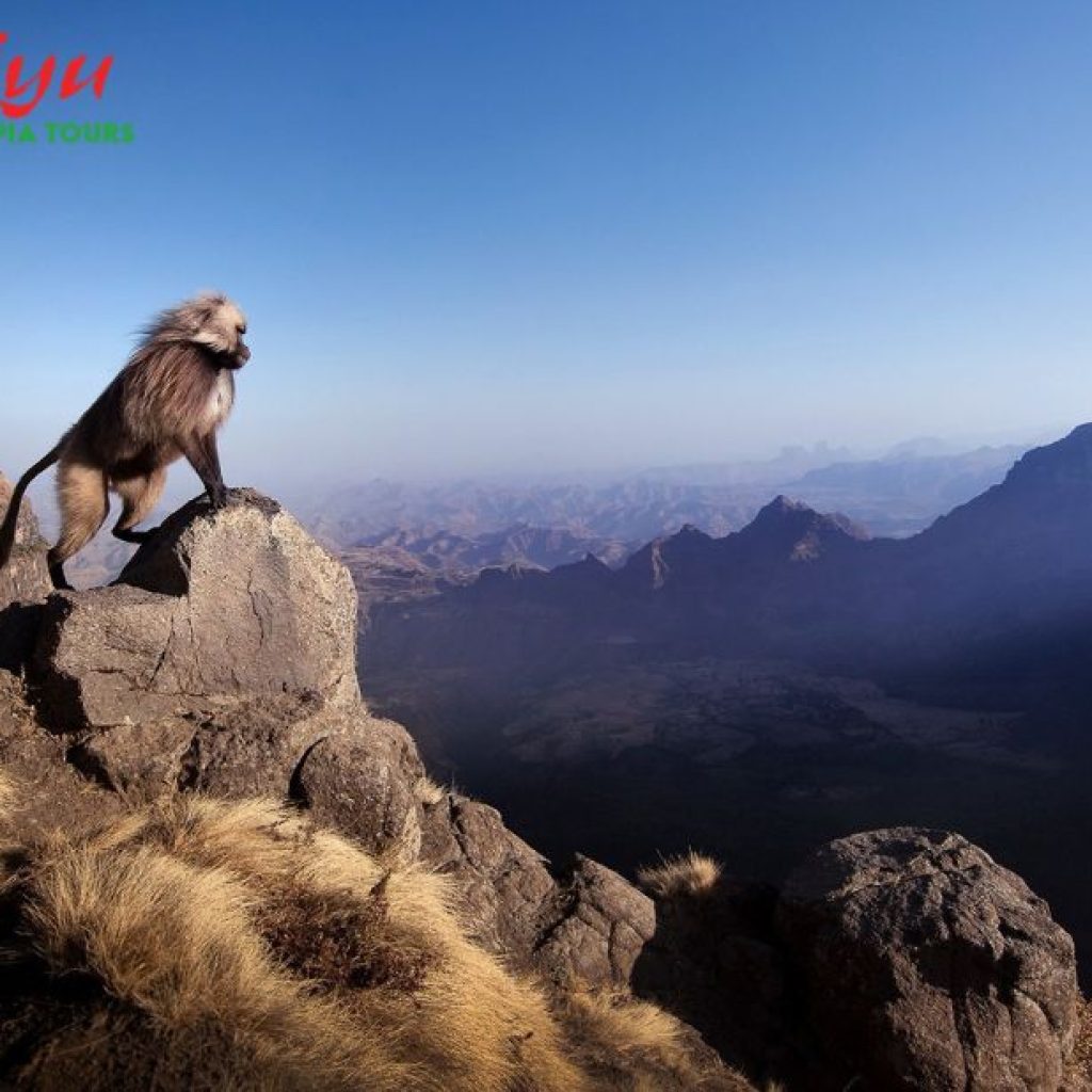 Explore Ethiopia’s Rich Traditions on a Guided Cultural Journey