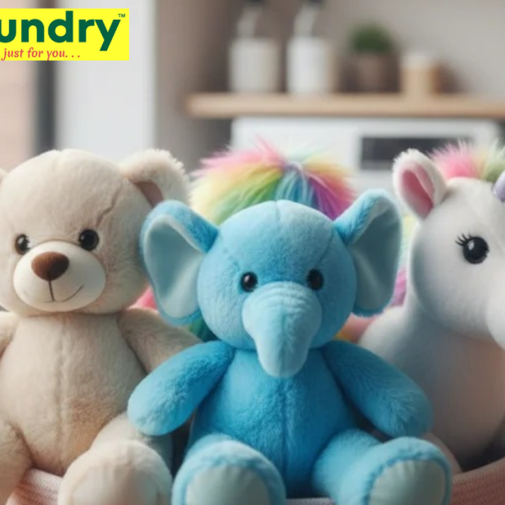 Top-Notch Toy Cleaning for Bengaluru Homes