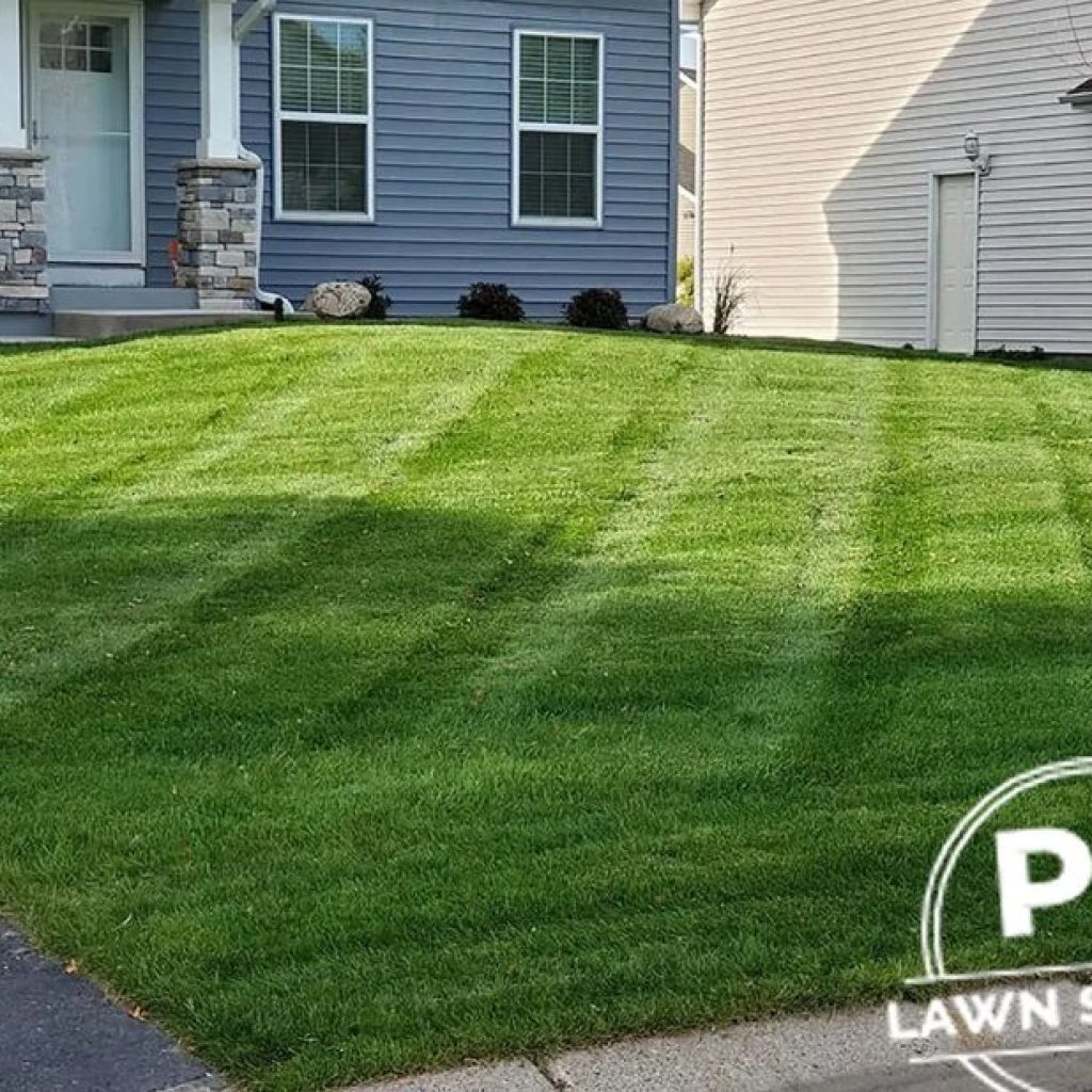 Boost Your Minnesota Lawn Health with Targeted Fertilizer Solutions