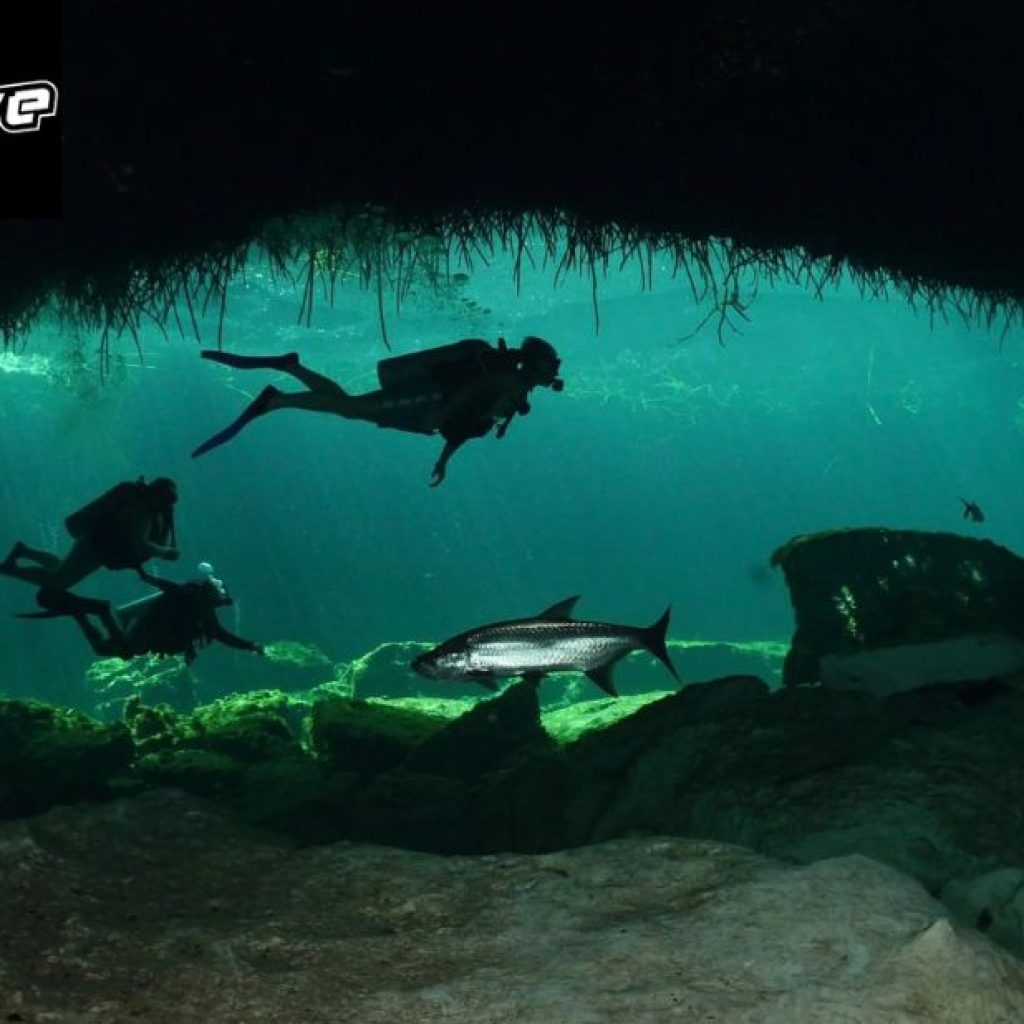 Explore Hidden Underwater Realms: Cenote Diving Adventures in Mexico