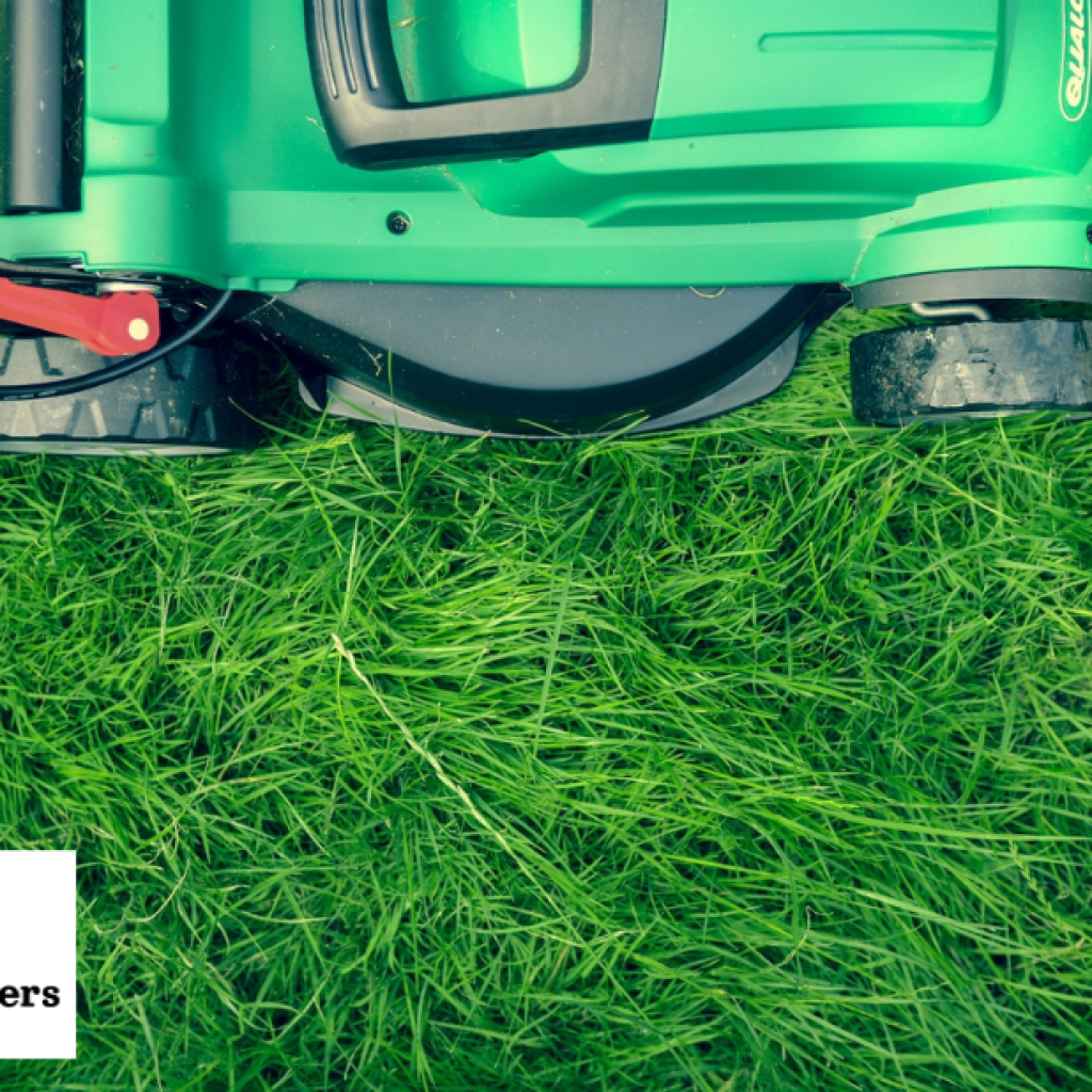Gardener Bristol: Trusted Local Garden Care