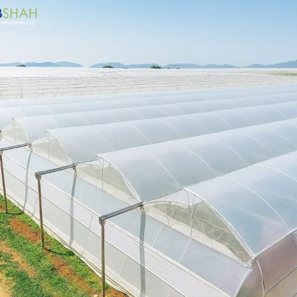 Dubai’s Leading Packaging Film Producers for Secure Wrapping