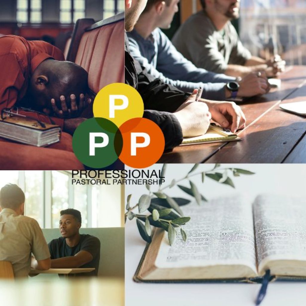 Nurture Your Faithful Leadership Online Mentoring