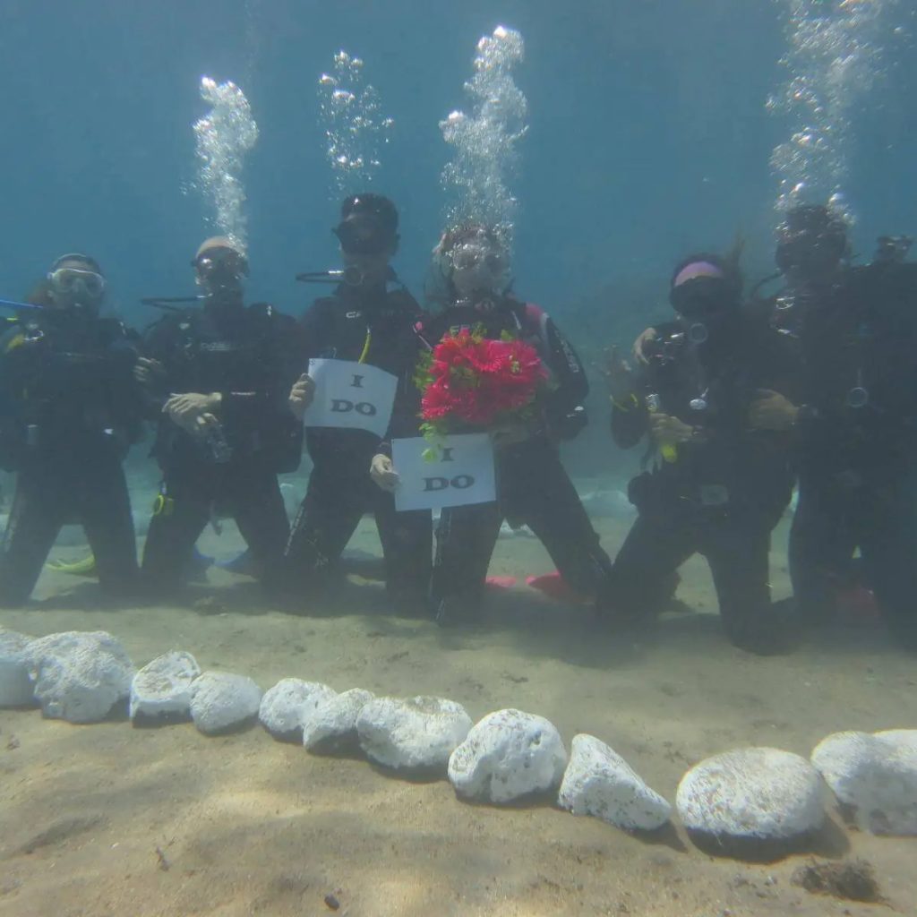 Explore Fiji’s Best Diving Experiences for Every Level