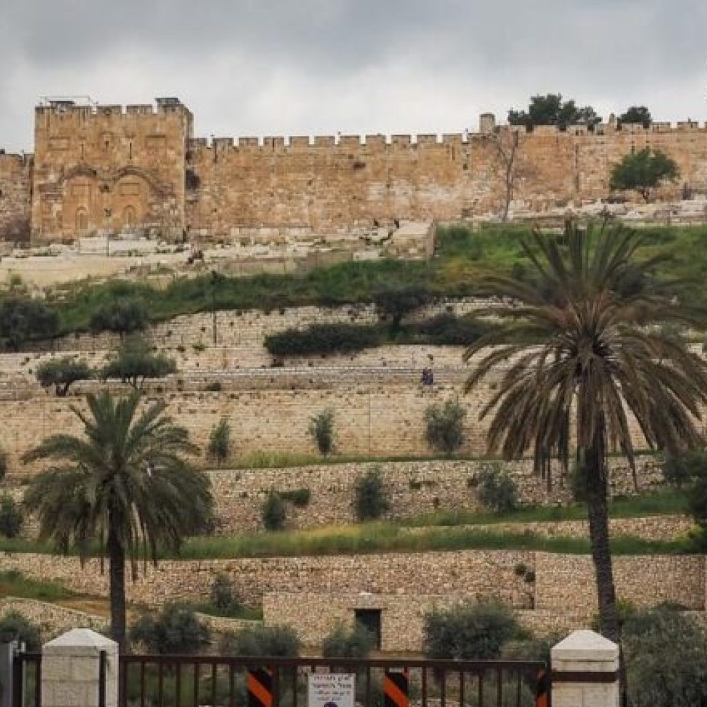 A Sacred Retreat: Olive Groves Near Jerusalem’s Mount of Olives