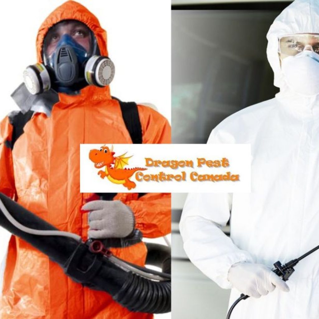 Keep Your Outdoor Space Mosquito-Free in Edmonton, Safely and Effectively