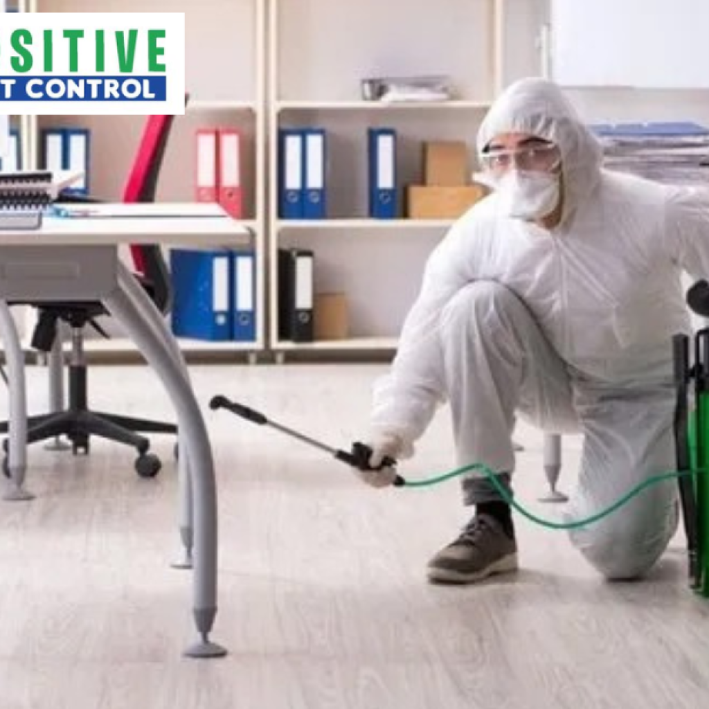 Protect Your Home with Trusted Calgary Pest Control Experts