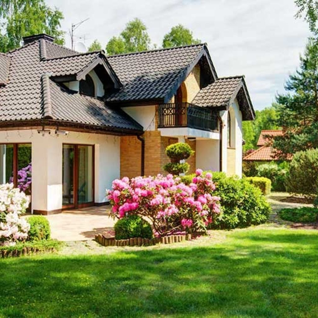 Grow a lush, pest-smart lawn: expert tips for UK gardens