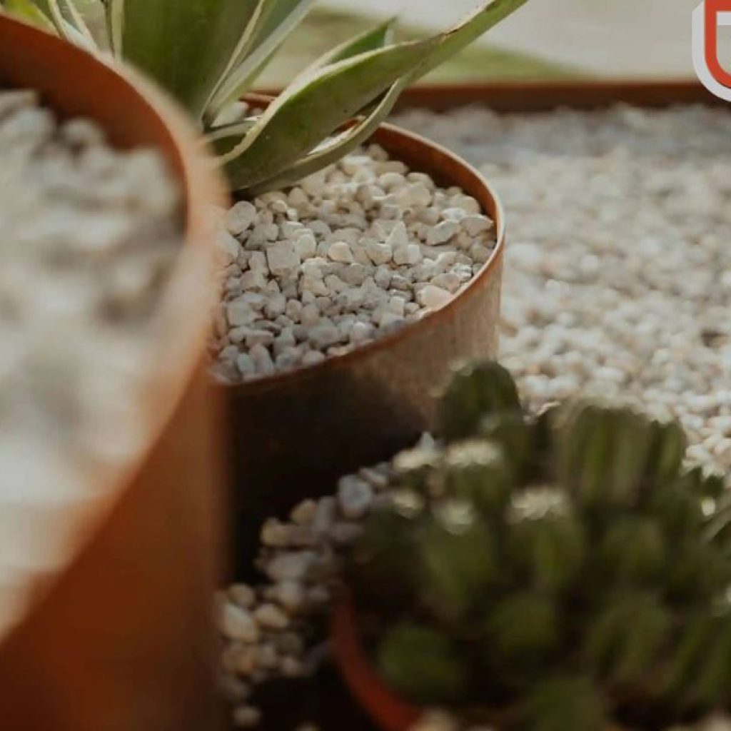 Elegant Weathered Planters for Modern Gardens