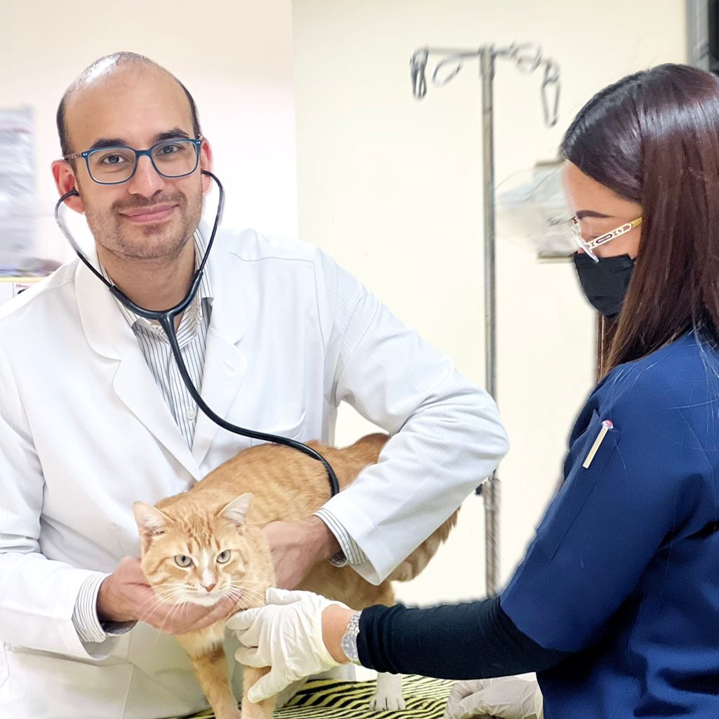Compassionate Veterinary Care for Your Pets in Doha