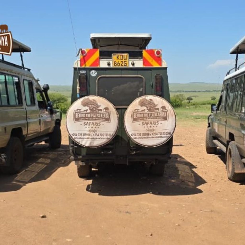 Exclusive Kenya Safari Experiences: Luxury Lodges, Private Guides & Tailored Escapes
