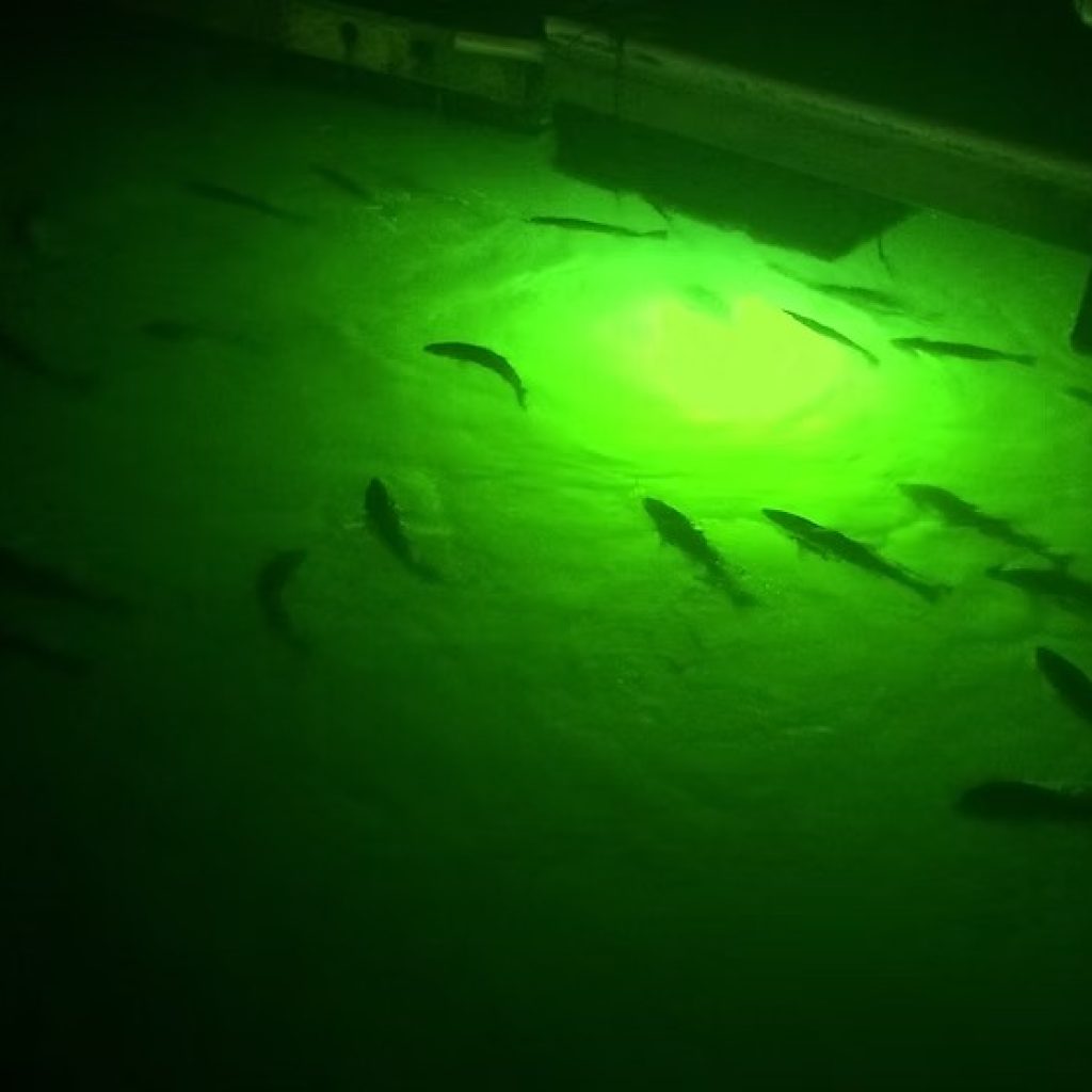 Lighting Up the Waterfront: Docks Safety and Style