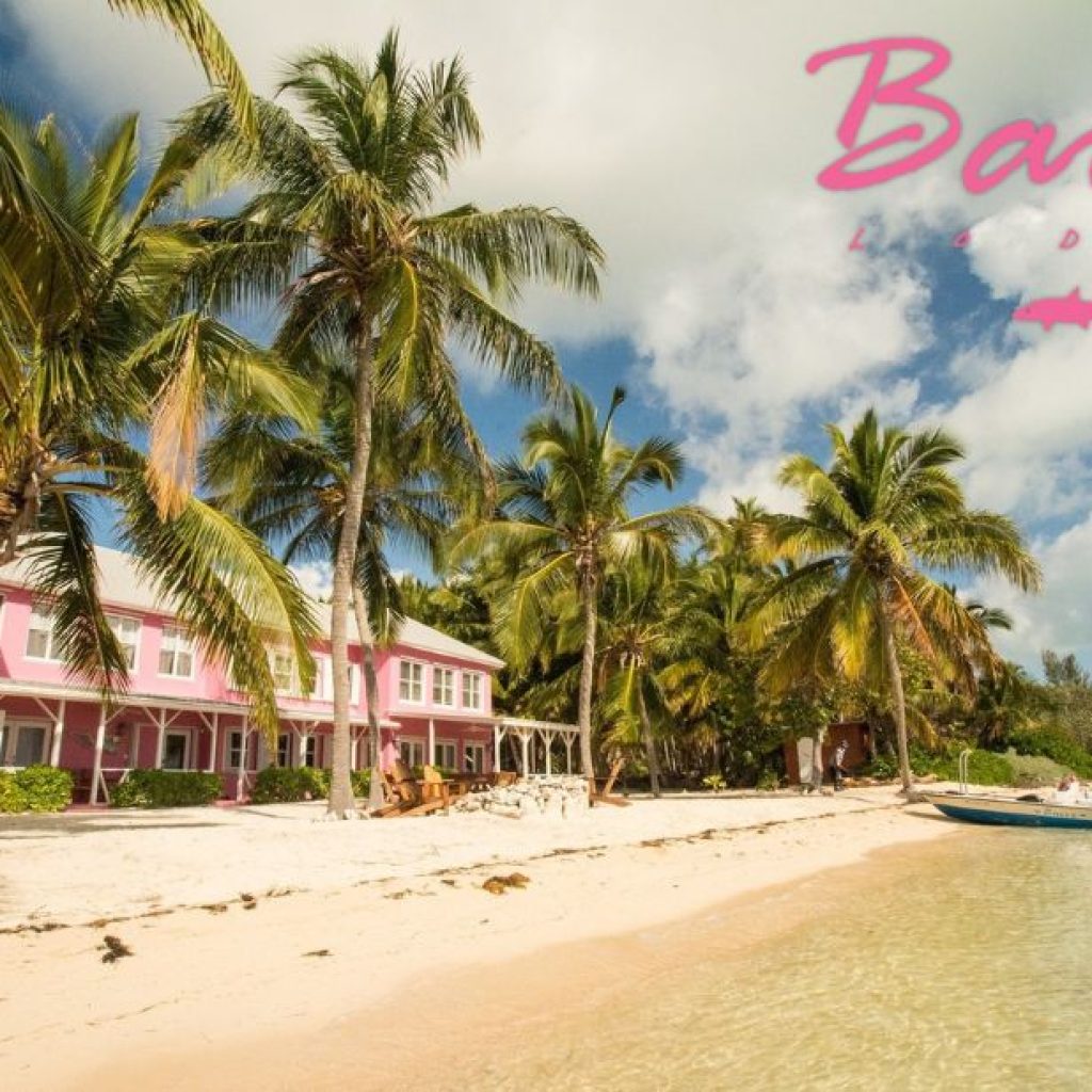 Experience premier Caribbean bonefishing lodges in South Andros