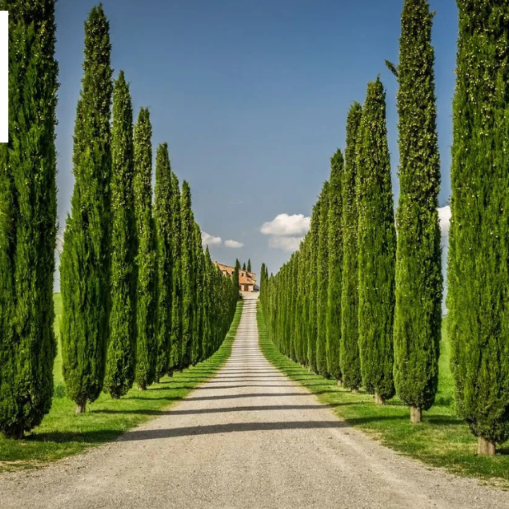 Luxurious 3-Bedroom Villa with Private Pool in Lucca Getaway