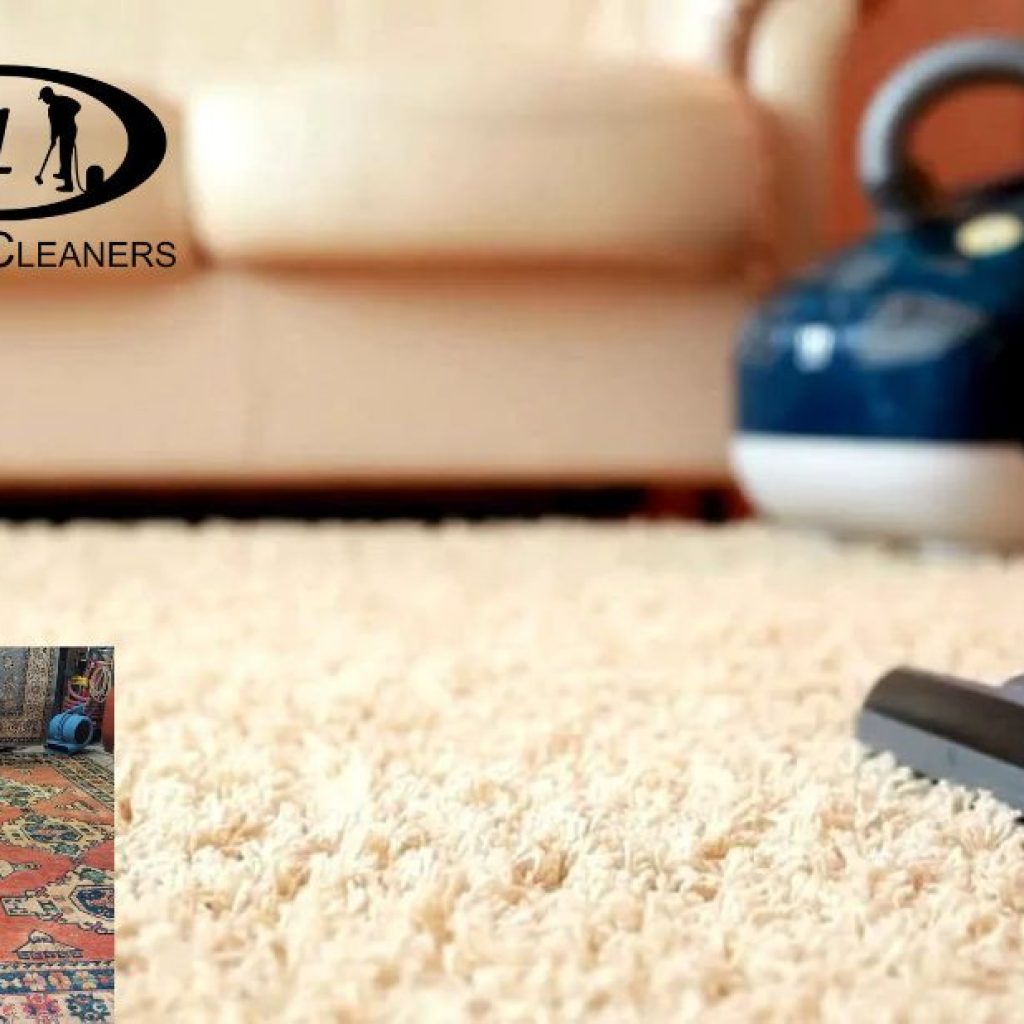 Top-Rated Rug Cleaning Services Near You