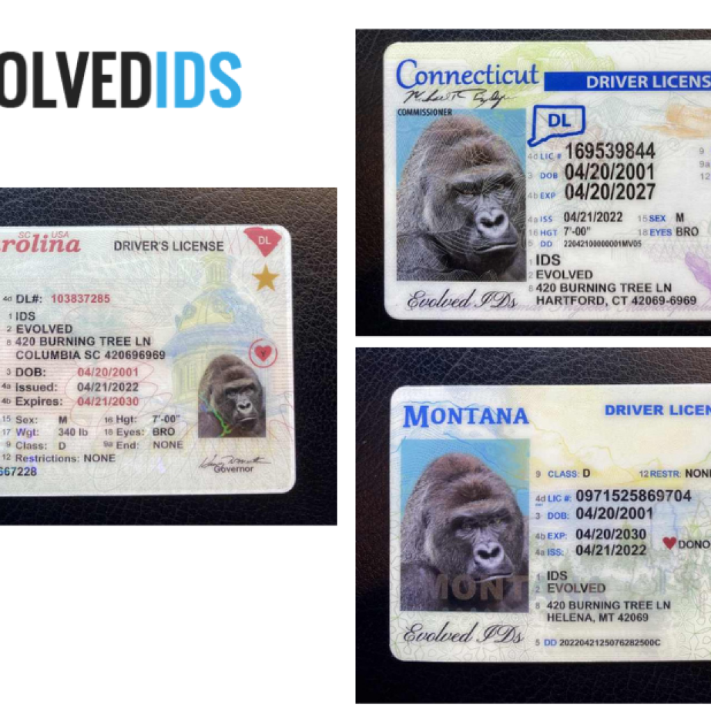Real Scannable Fake Id | Evolvedids.com