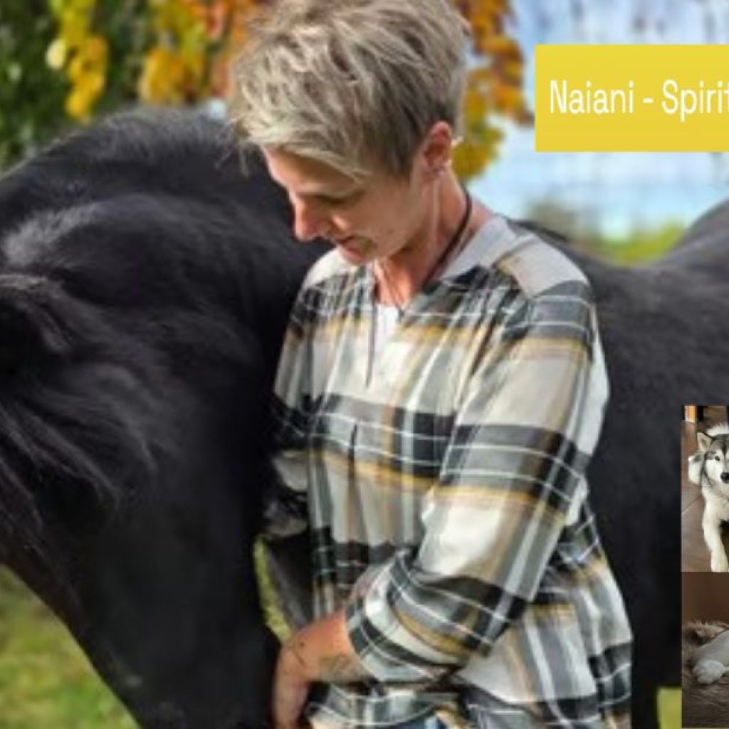 Tiefe Verbundenheit mit Tieren erleben – spirituelle Begleitung