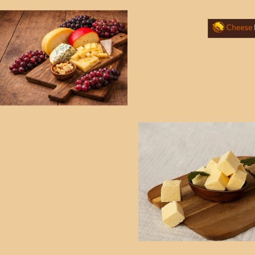 Opening Asia: High‑quality cheese trade tips and market insights