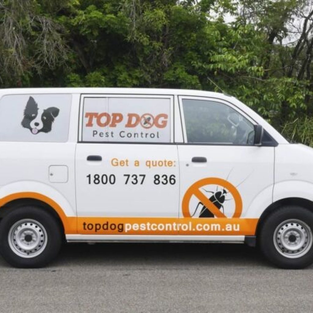 Effective Mosquito Management for the Gold Coast Home and Garden