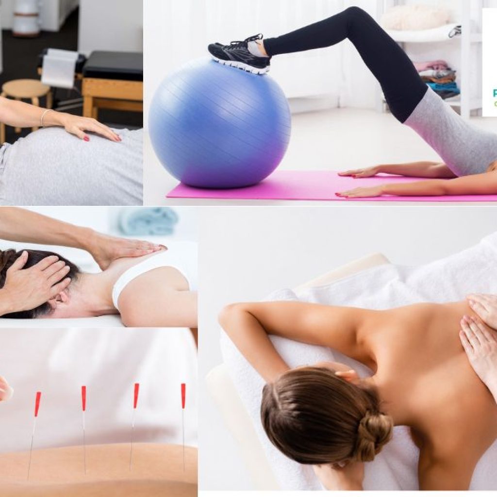 Holistic acupuncture and wellbeing in Royal Oak, Calgary