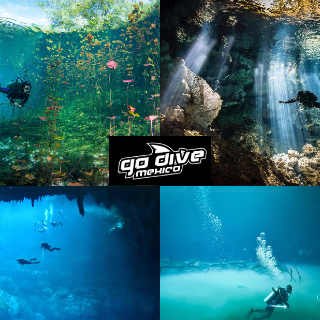 Explore Mexico’s Hidden Waterworlds: Cenote Diving Adventures
