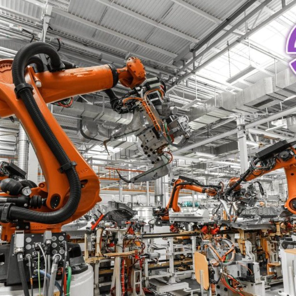 Leading Conveyor Solutions Provider for Efficient Material Handling