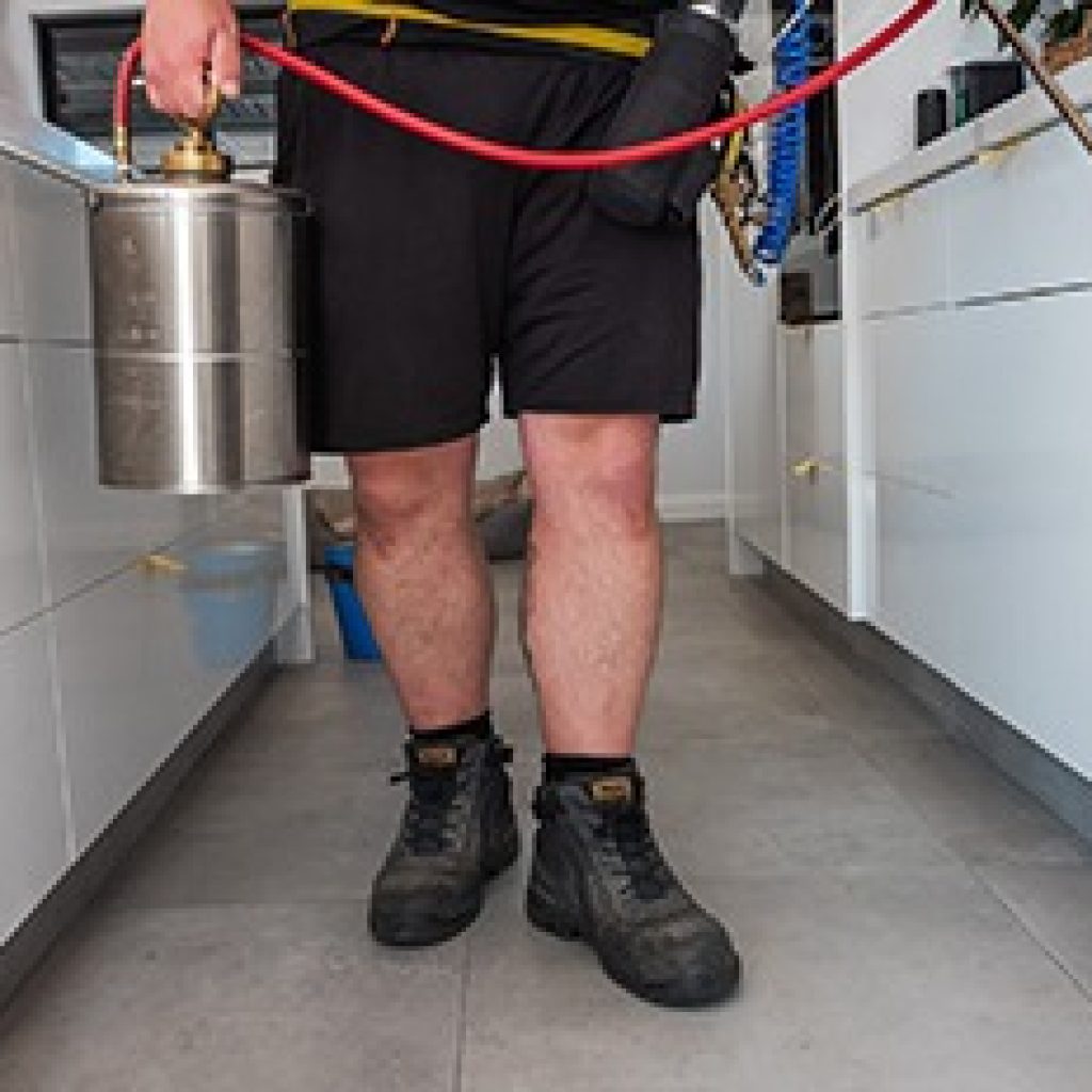 Effective Solutions for a Pest-Free Home in Oxenford