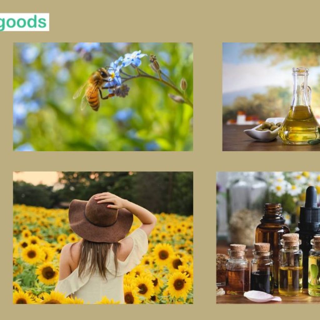 Discover Trusted Ozonated Skincare Suppliers Worldwide