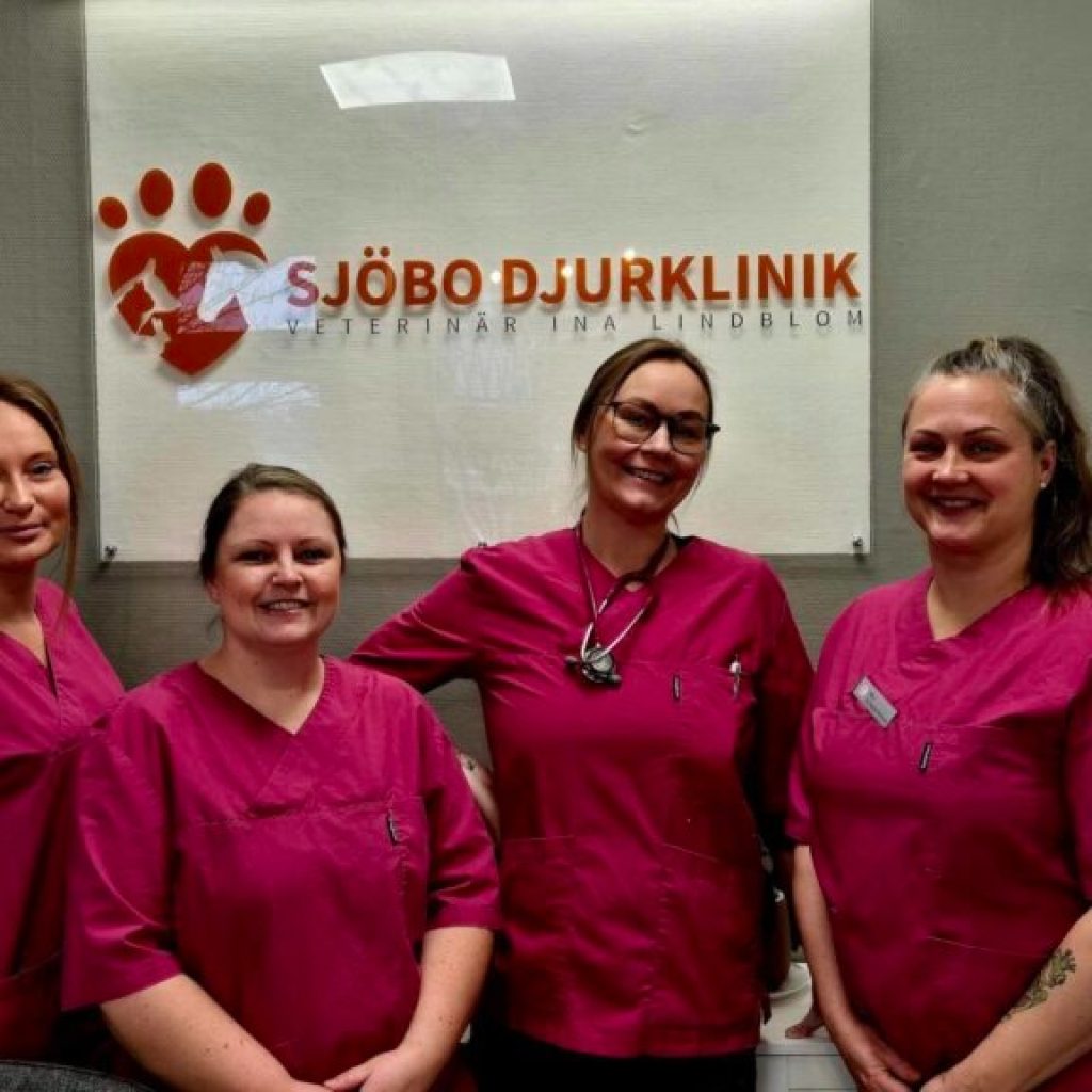 Experthjälp för hundars tandhälsa i Veberöd – vår klinik