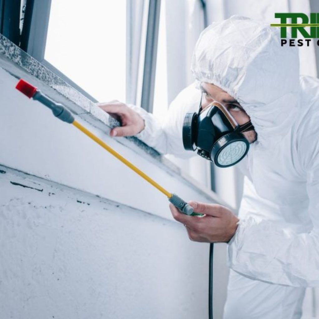 Reliable Pest Management Services Near Tarneit