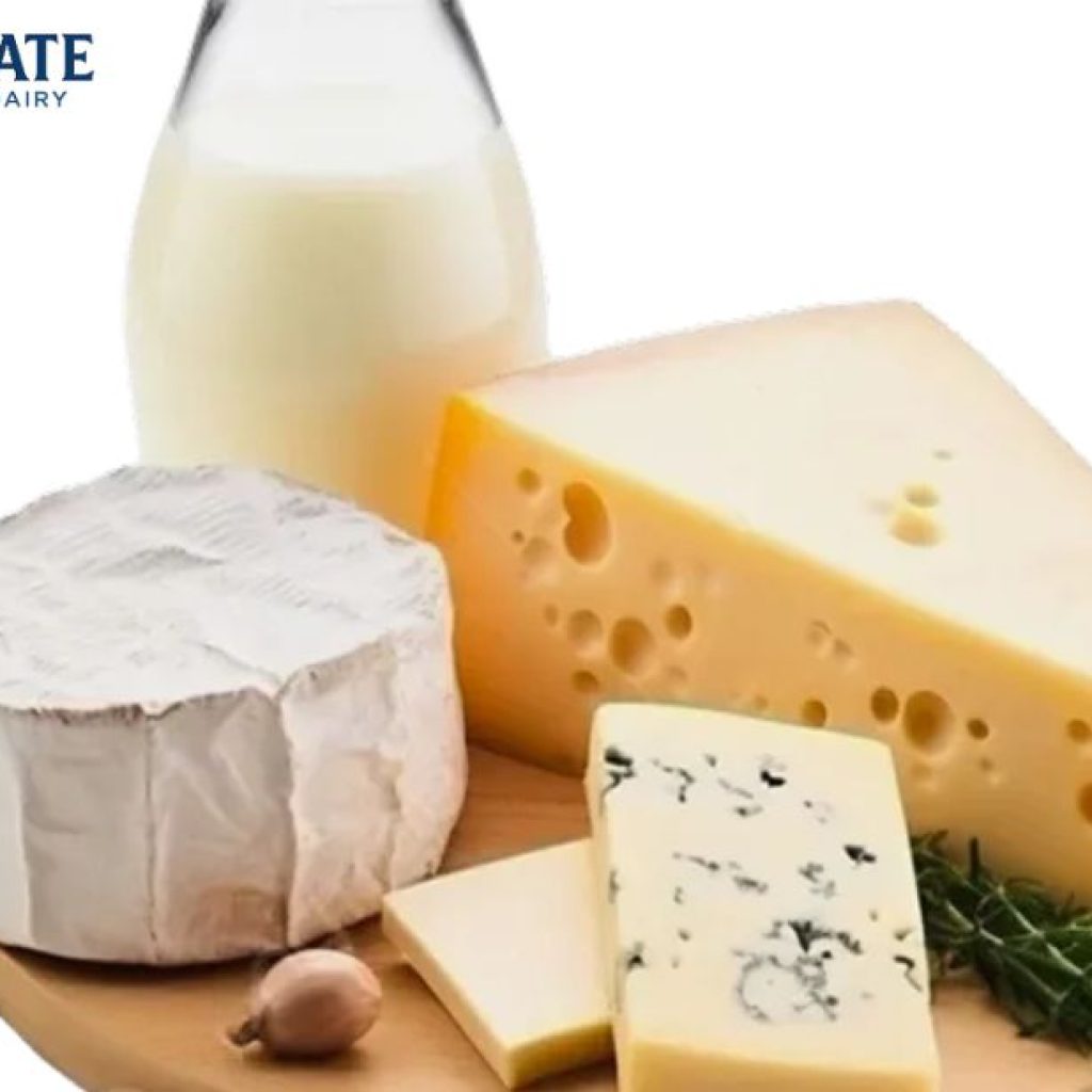 Premium Halal-Standard Dairy Private Label Solutions