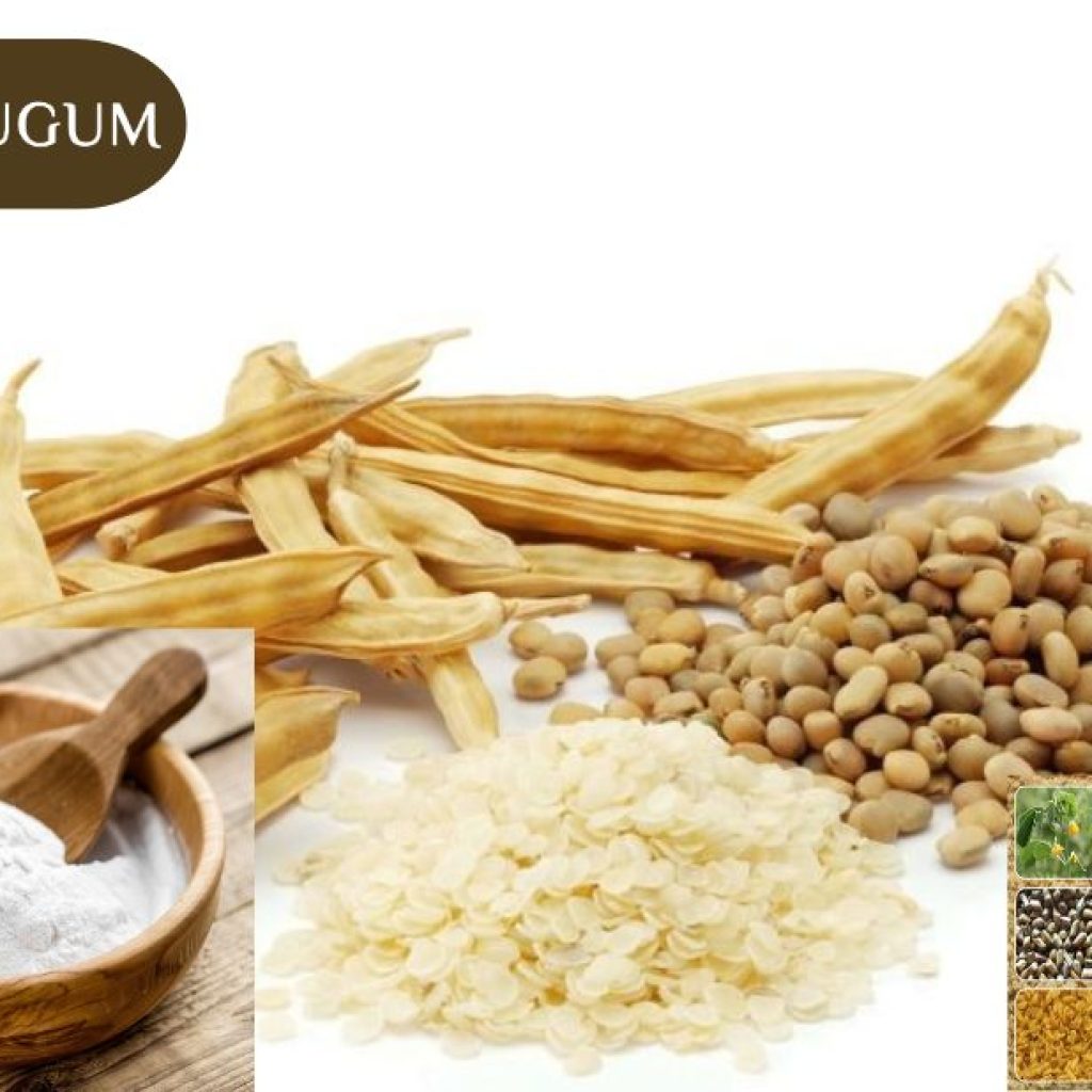 Guar Gum India Manufacturers: Trusted Suppliers for Global Markets