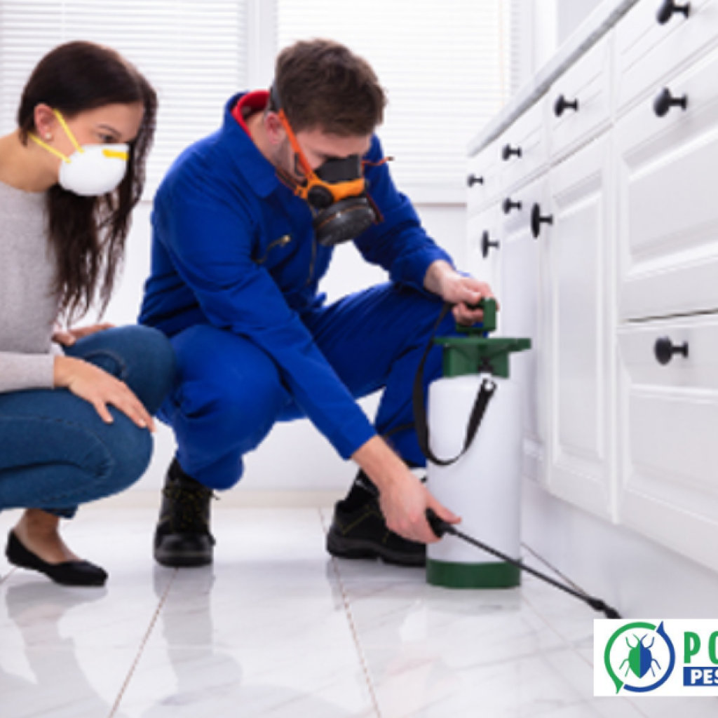 Effective Pest Solutions for Homes and Businesses in Calgary
