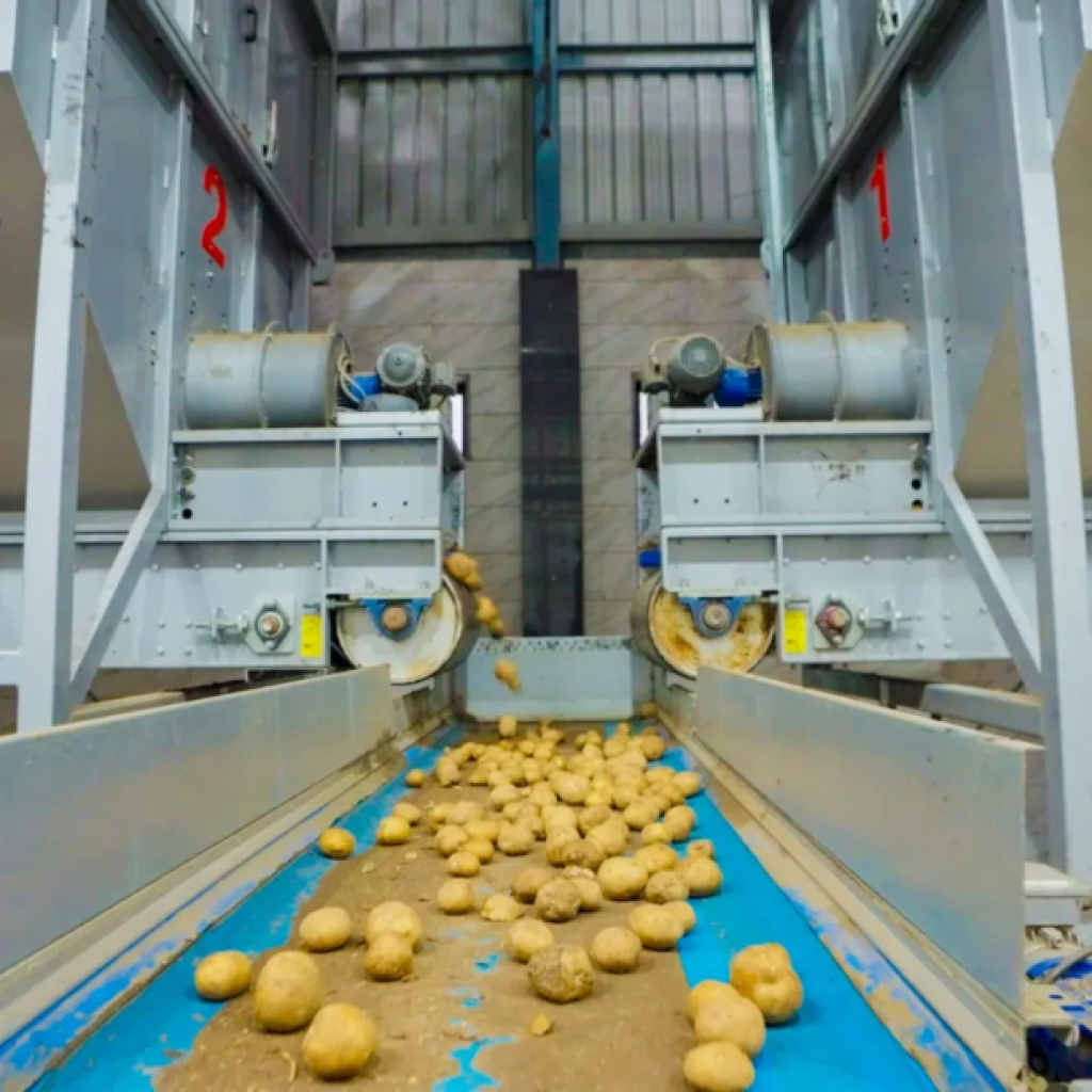 Crispy, versatile potato flakes for food brands and bulk kitchens