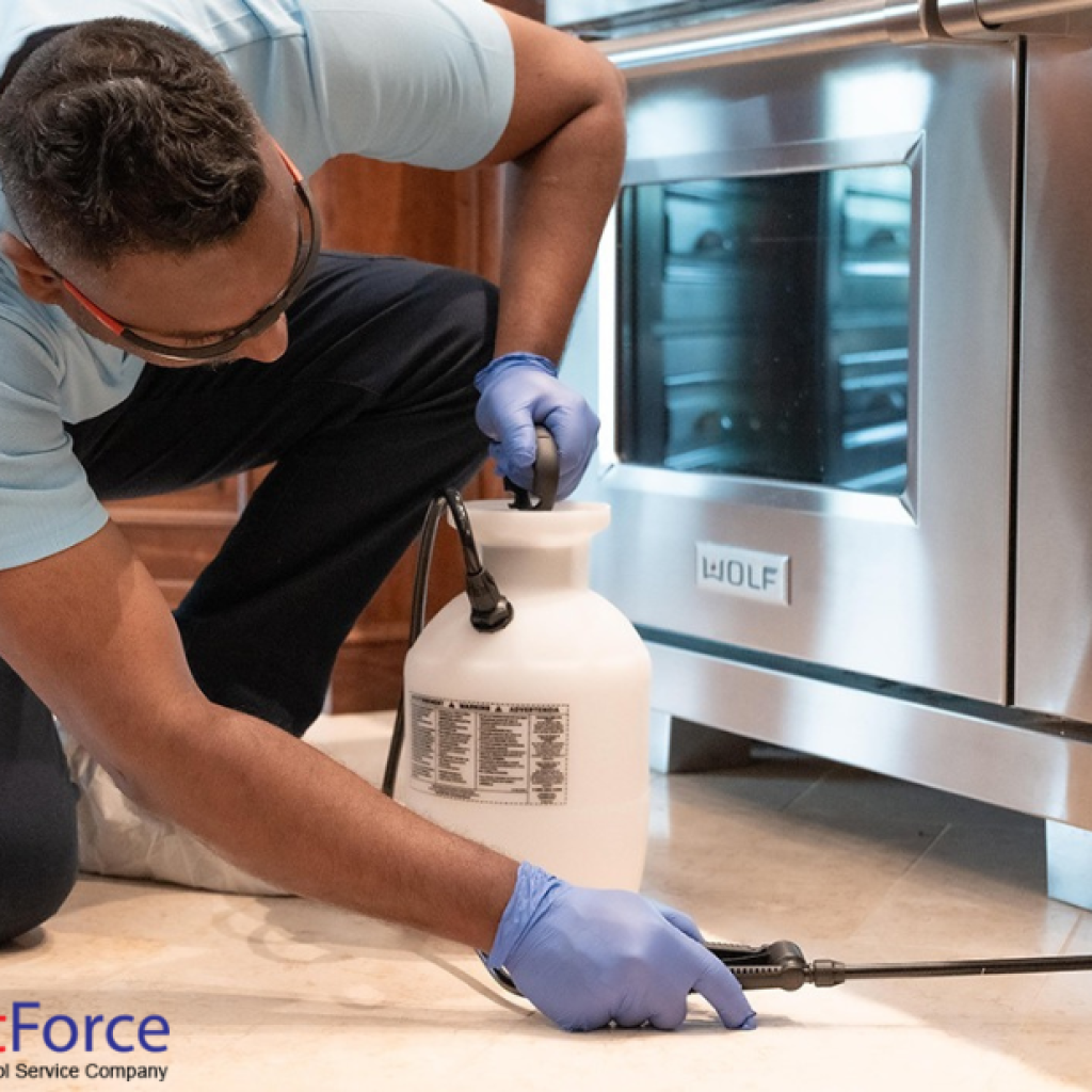 Effective Flea Management for Your Home in Alberta