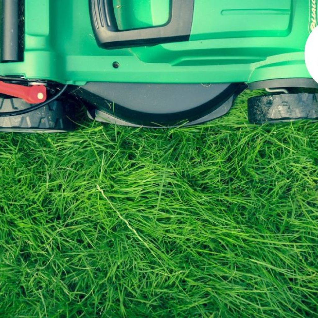 Professional garden weed control in Bristol you can trust