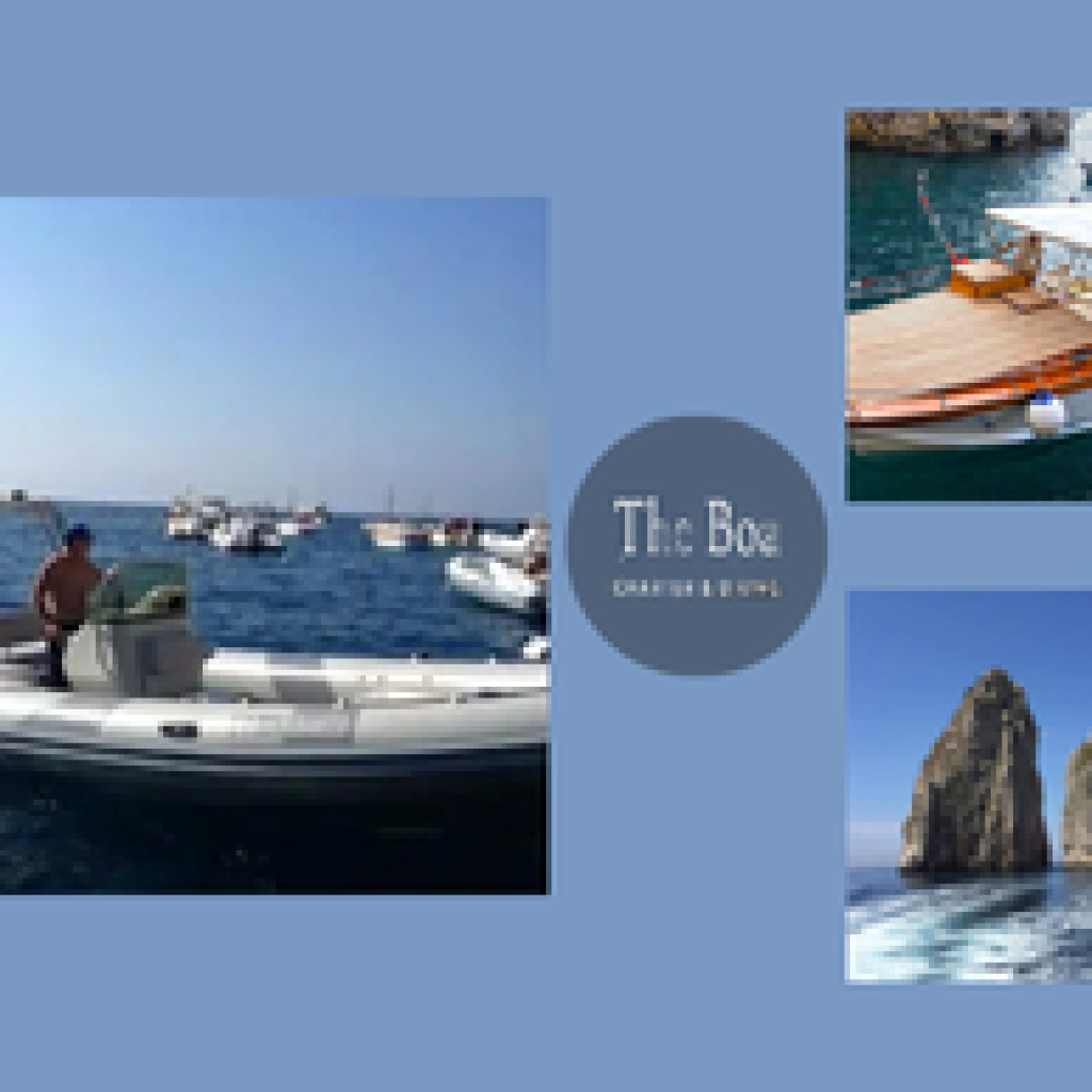 Private Amalfi Coast Day Trip: Capri, Positano & Scenic Coastal Stops