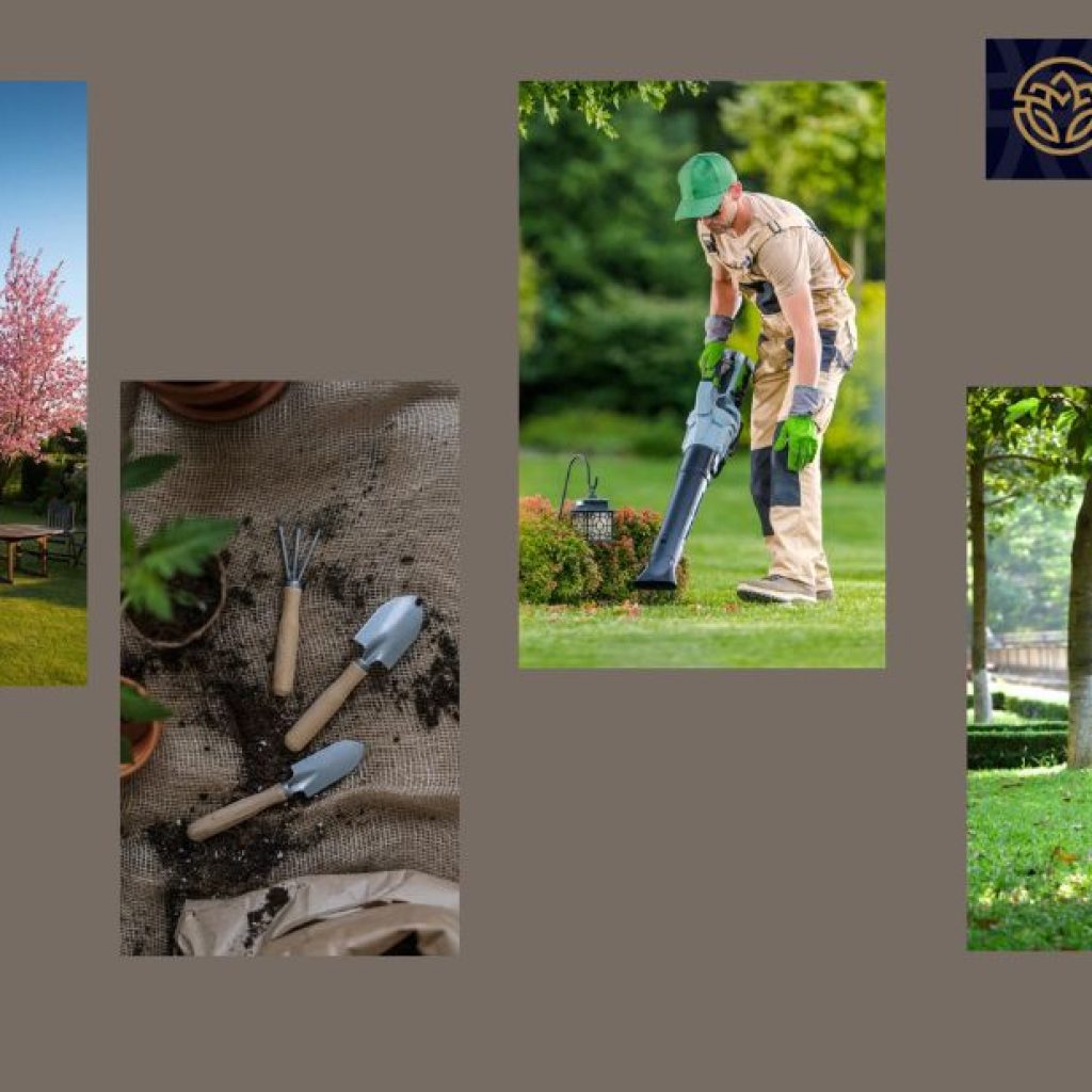 Expert Hedge Trimming for Pristine UK Gardens (Wimbledon Area)