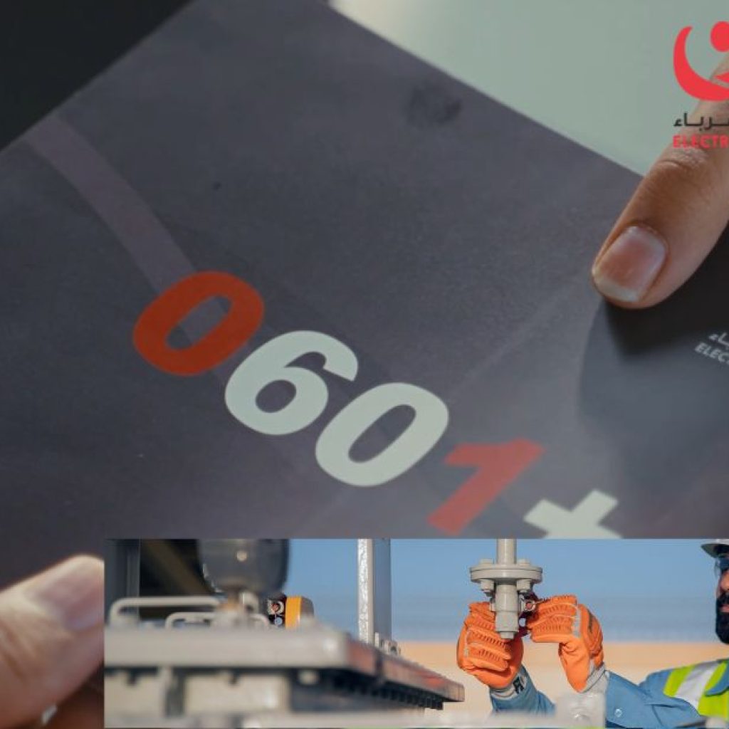 Powering Communities: Trusted Energy Distribution and Service
